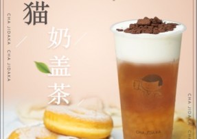 6686：熊猫奶盖茶