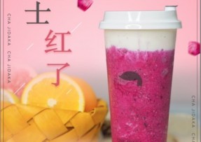 6686：芝士红了