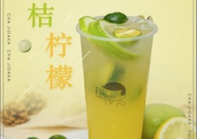 6686：金桔柠檬