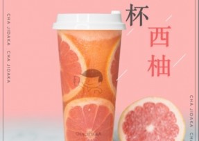 6686：满杯西柚